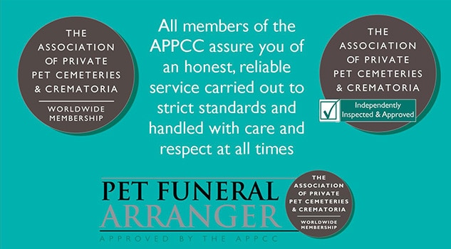 Private best sale pet cremation